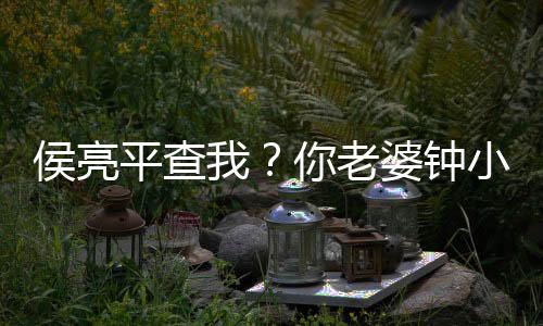 侯亮平查我？你老婆鐘小艾力挺我