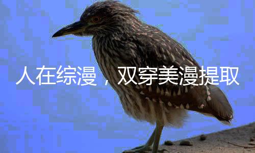 人在綜漫，雙穿美漫提取超人詞條