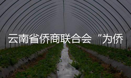 云南省僑商聯合會“為僑搭橋” 與14家友好商協會簽約