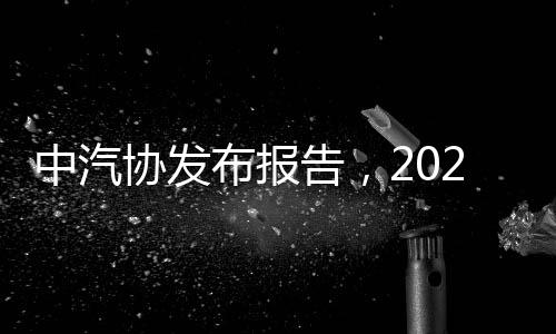 中汽協(xié)發(fā)布報(bào)告，2024年12月汽車出口量達(dá)50.4萬輛