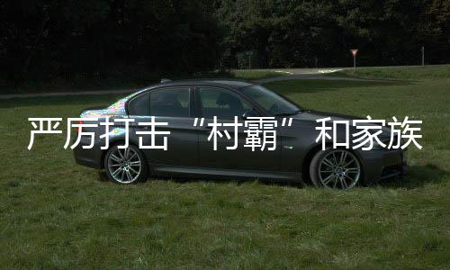 嚴厲打擊“村霸”和家族宗族黑惡勢力！最高法發布5件典型案例