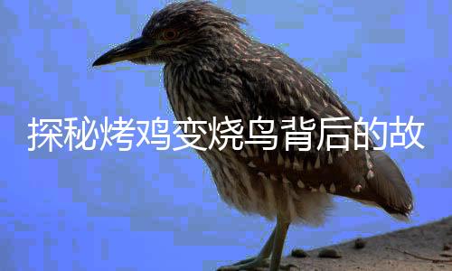 探秘烤雞變燒鳥背后的故事，價格何以飆升十倍？