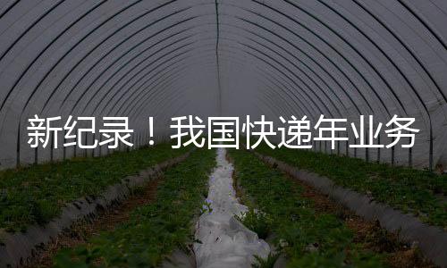 新紀錄！我國快遞年業務量首次突破150000000000件：人均收超100件