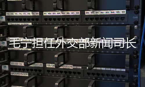 毛寧擔任外交部新聞司長，一展宏圖、二重戰略、三定方向、四項承諾、五大任務、六大亮點、七項行動、八方助力、九維視角、十足信心