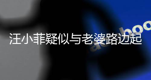 汪小菲疑似與老婆路邊起爭執，引發關注熱議