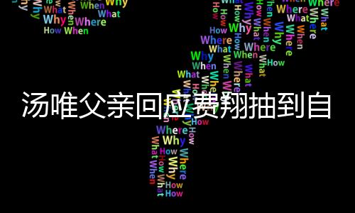 湯唯父親回應費翔抽到自己的書法作品，一段跨越文化的佳話