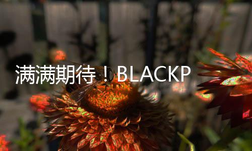 滿滿期待！BLACKPINK金智秀將于2月solo回歸