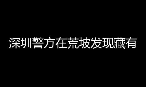 深圳警方在荒坡發(fā)現(xiàn)藏有會(huì)計(jì)資料的大規(guī)模藏匿點(diǎn)——揭示深藏的秘密