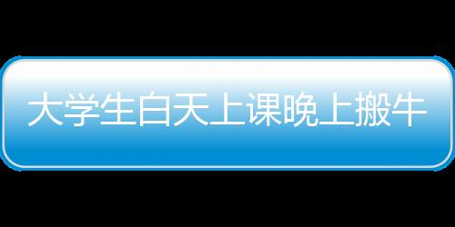 大學生白天上課晚上搬牛——探索高校生活的多元面貌