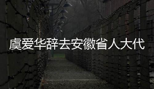 虞愛華辭去安徽省人大代表職務，開啟新的人生征程