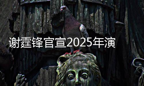 謝霆鋒官宣2025年演唱會，期待音樂盛宴的到來