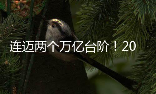 連邁兩個萬億臺階！2024年我國進出口總值達43.85萬億元