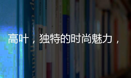 高葉，獨特的時尚魅力，引領穿戴鋼筆新風潮