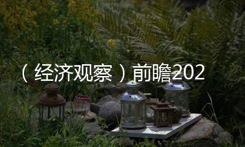 （經濟觀察）前瞻2025：中國房地產市場或現四大變化