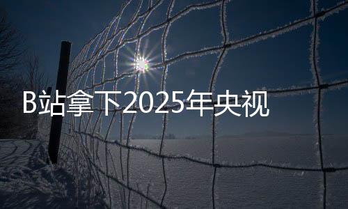 B站拿下2025年央視春晚轉播權：獨家彈幕視頻平臺